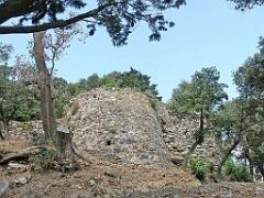 183 HYERES ET SES PALMIERS D03_000053